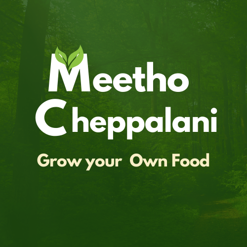 meethocheppalani.com